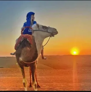 #AgafayDesert
#SunsetTour
#CamelRide
#QuadBiking
#Stargazing
#MoroccanCuisine
#CookingClass
#DesertAdventure
#TravelMorocco
#DayTripFromMarrakech
#DesertExperience
#Morocco2024
#AgafayActivities
#LuxuryDesertTour
#AuthenticMorocco





