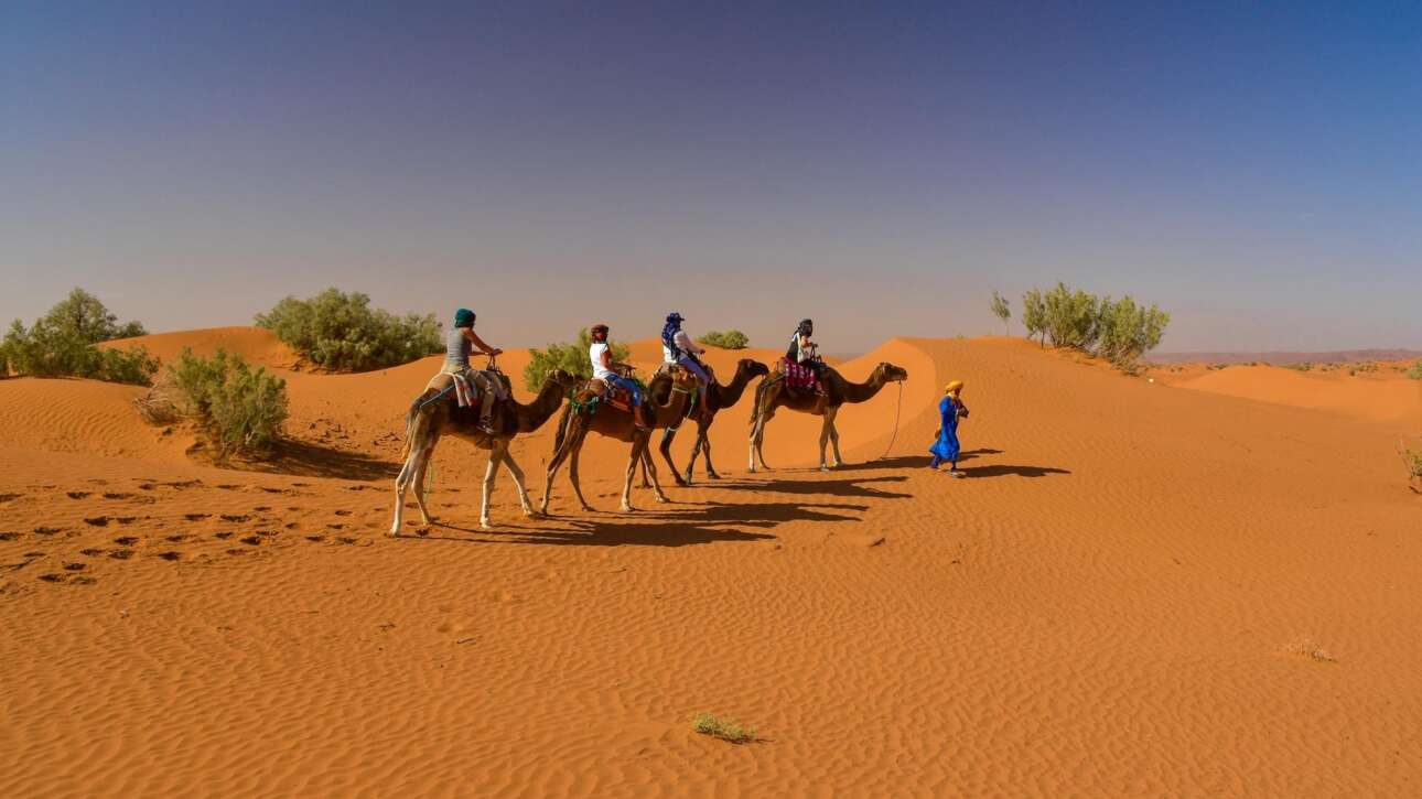 marrakech to zagora