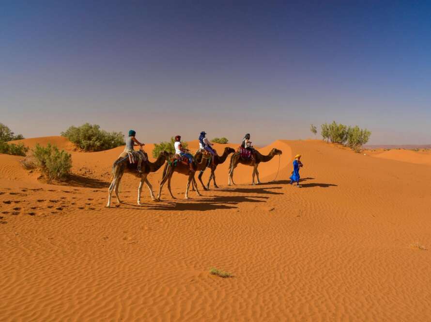 marrakech to zagora