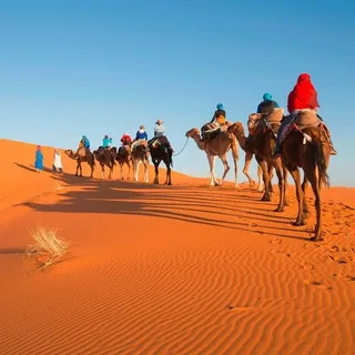 best Marrakech desert tours morocco adventure tours