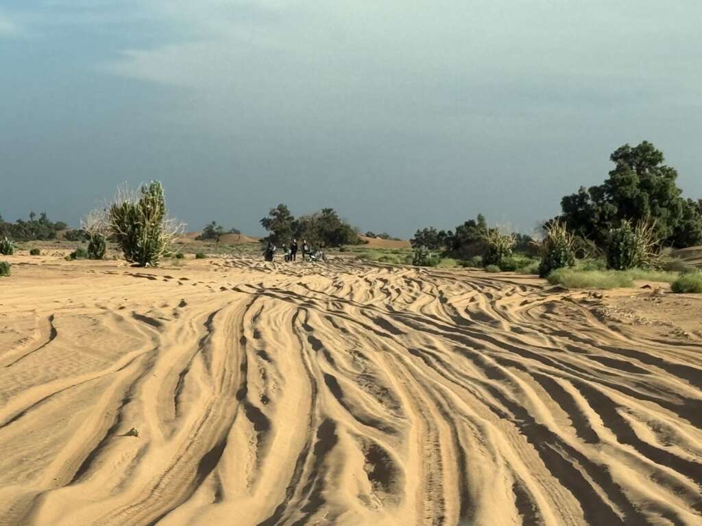 Marrakech Desert Tours